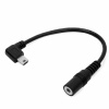 R-Tech GoPro Hero 3 + 4 Microphone Adapter Cable